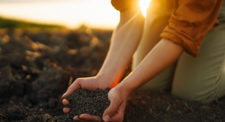 fertilizer program